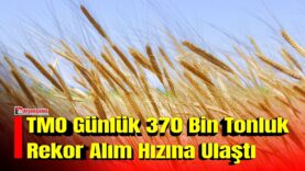 MANSET-2026-07-25T152611453