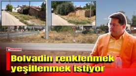 MANSET-2026-07-28T114452393