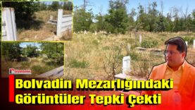 MANSET-2026-07-29T125659479