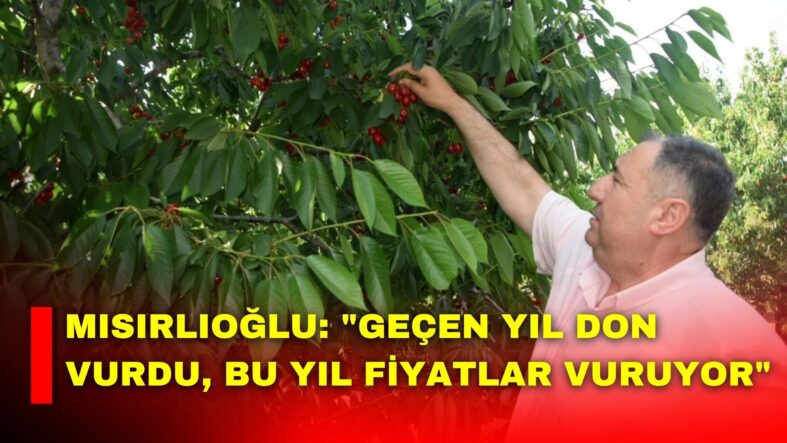 MANSET-3-2