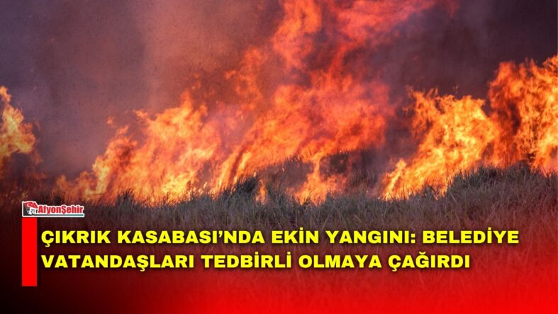 MANSET-48