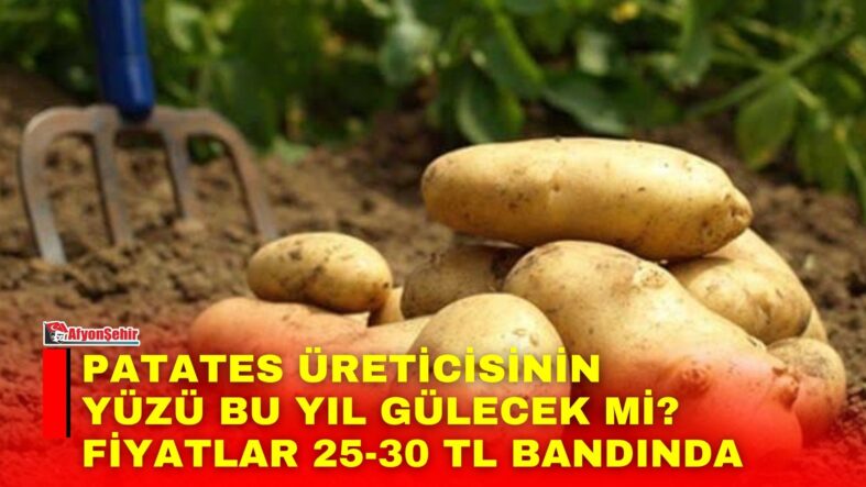 Manset-34