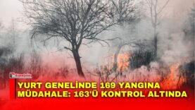 Manset-63-6
