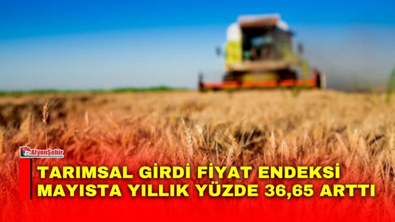Manset-83-1