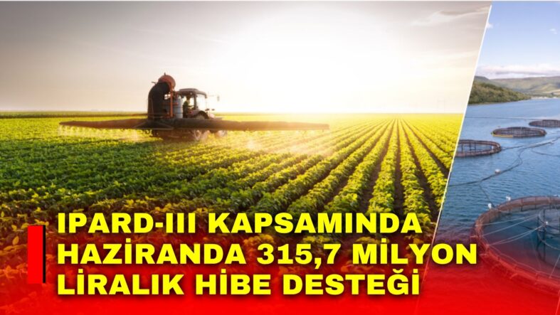Manset-83