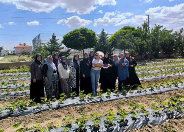 adem-projesinde-ilk-cilek-hasadi-yapildi_996b812bf639