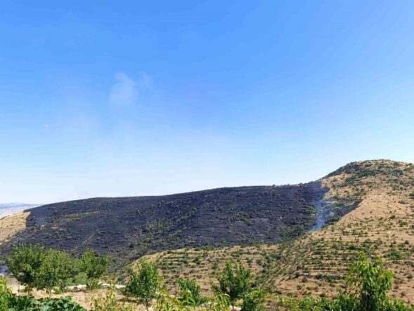 afyonkarahisarda-cikan-yanginda-150-hektarlik-alan-zarar-gordu_584ff7f8b37e