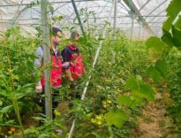 akarcay-su-verimliligi-projesi-devam-ediyor_8d2fad3621a2