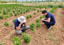 basmakcida-sebze-ekili-alanlar-kontrol-edidldi_eb7940ba780f