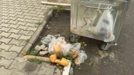 israf-ve-cevre-kirliligi-tepkiye-neden-oldu_078166fdff8a