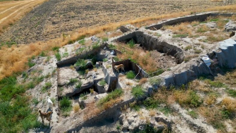 milattan-once-2000li-yillara-ait-kazi-alani-sokak-kopeklerinin-meskeni-haline-geldi_95554d92b253