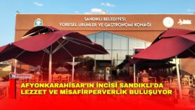 06f92643-c135-459c-9c8c-661b5cca4d77
