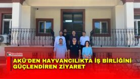 Manset-11