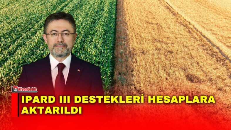 Manset-2