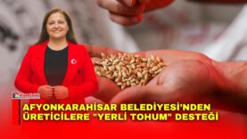 Manset-4