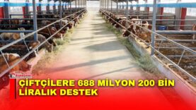 Manset-70-1