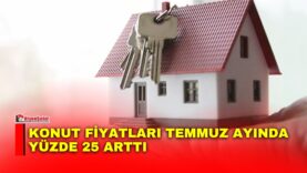 Manset-72-3