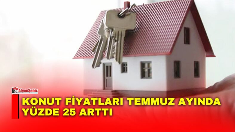 Manset-72-3
