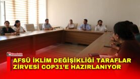 Manset-85-1