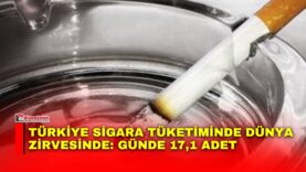 Manset-93-2