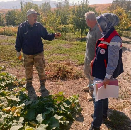 tursuluk-salatalik-uretim-alanlarinda-tarim-ilaci-kontrolleri-suruyor_99186c64cf4b
