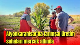 MANSET-2026-09-02T143347923