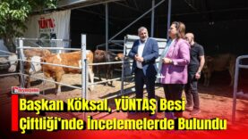 MANSET-2026-09-03T170454487