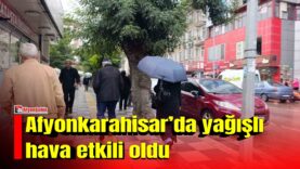 MANSET-2026-09-17T144613541