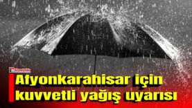MANSET-2026-09-26T161105282
