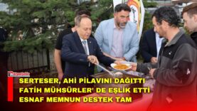 MANSET-31