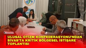 Manset-1-3