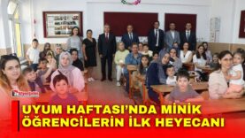 Manset-16