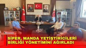 Manset-17