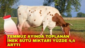Manset-2026-09-14T153455821