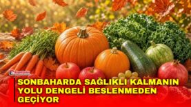 Manset-2026-09-27T115229833