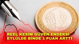 Manset-23-3