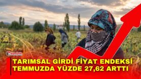 Manset-24-3