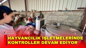 Manset-4-1