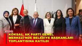 Manset-43