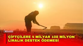 Manset-54-1