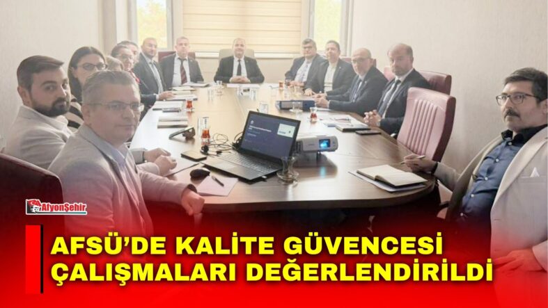 Manset-73-3