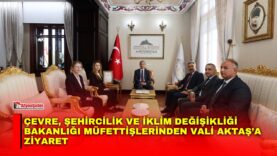 Manset-93-1