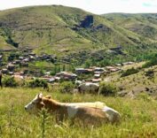 kirsal-dezavantajli-alanlara-yonelik-calismalar-suruyor_41643beb1648