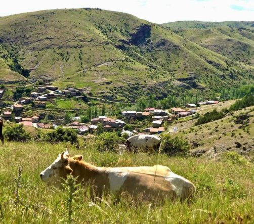 kirsal-dezavantajli-alanlara-yonelik-calismalar-suruyor_41643beb1648