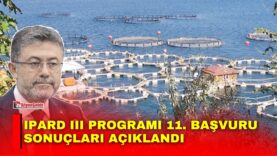Manset-17-3
