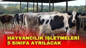 Manset-2026-10-14T151252329