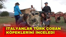Manset-2026-10-23T163706320