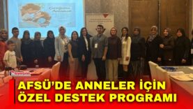 Manset-21