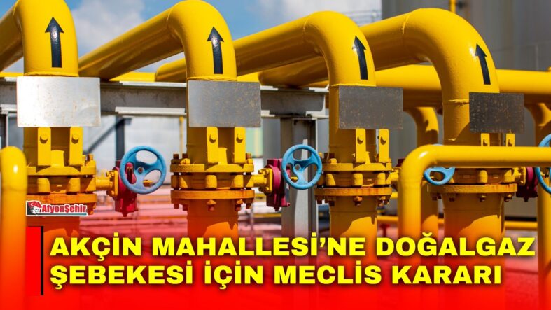 Manset-25