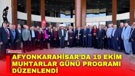Manset-29-2